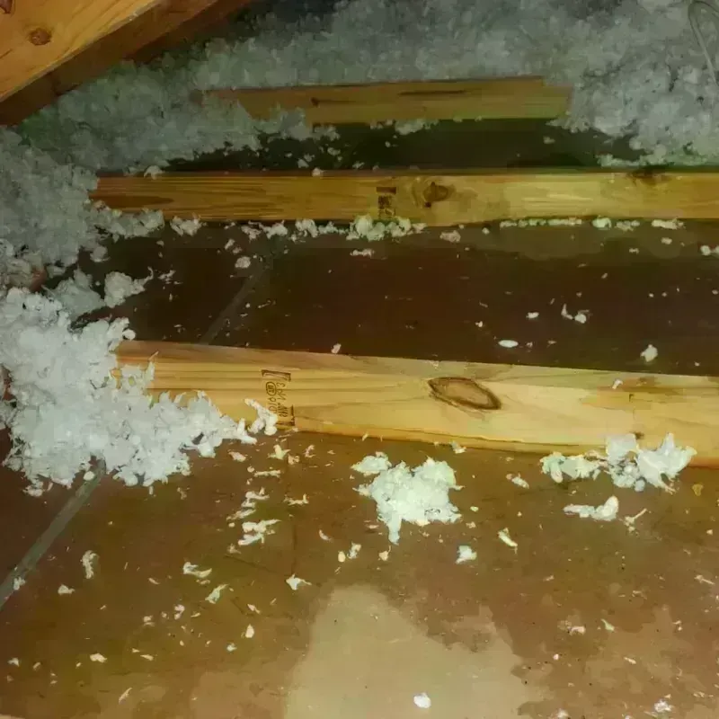 Attic Water Damage in Eastport, NY